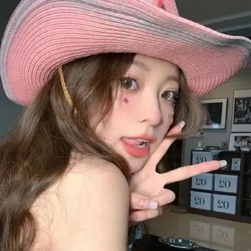 借口公司2